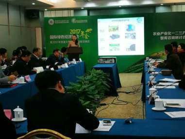 仟億達總裁王元圓在咨詢會上進行代表性項目咨演 仟億達總裁王元圓在咨詢會上進行代表性項目咨演