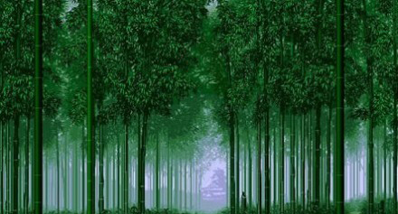 仟億達碳交易與您攜手打造綠色碳環保企業 碳資產管理