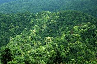 仟億達(dá)碳資產(chǎn)交易 幫人類找回一個(gè)干凈的文明社會(huì) 仟億達(dá)碳資產(chǎn)交易 幫人類找回一個(gè)干凈的文明社會(huì)