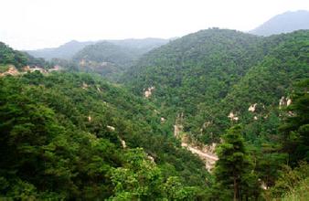 祝賀仟億達集團與陜西定邊縣達成造林碳匯項目合作 祝賀仟億達集團與陜西定邊縣達成造林碳匯項目合作