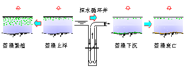 深井增壓控制水體藍(lán)藻生長繁殖原理 深井增壓控制水體藍(lán)藻生長繁殖原理